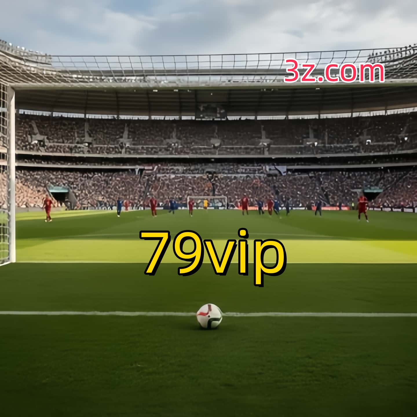 79vip